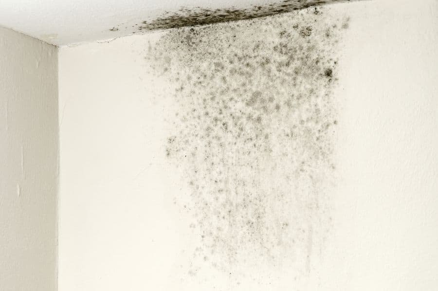 Penetrative-Damp