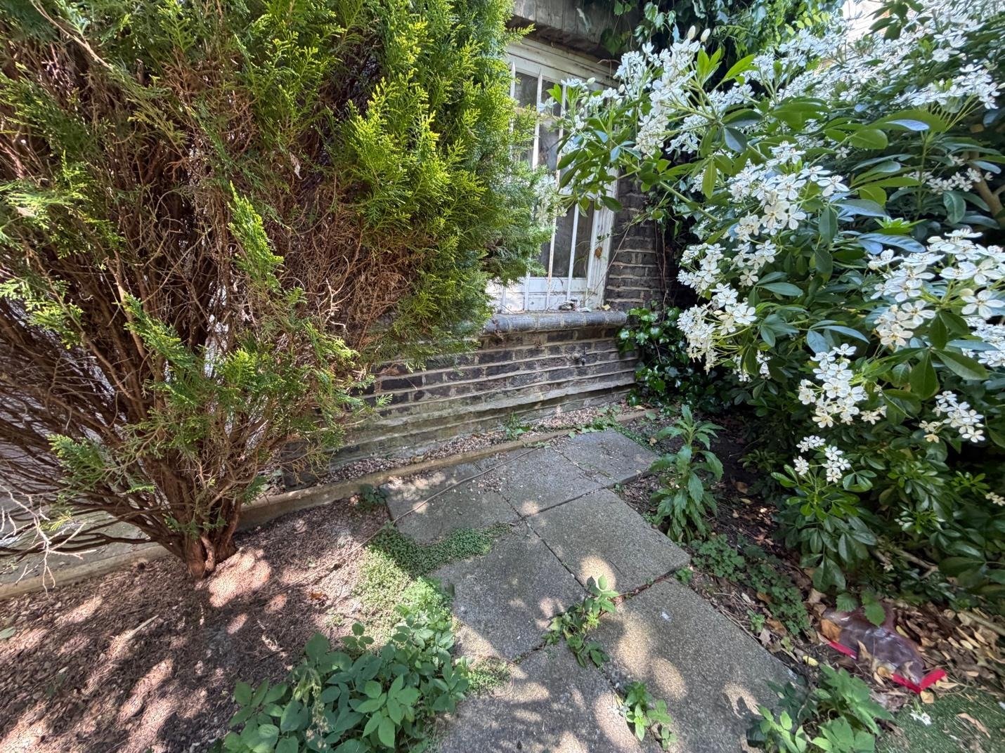 Level 3 Damp Survey in Primrose Hill (NW3)